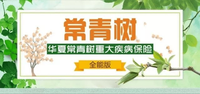 華夏常青樹保險怎么樣